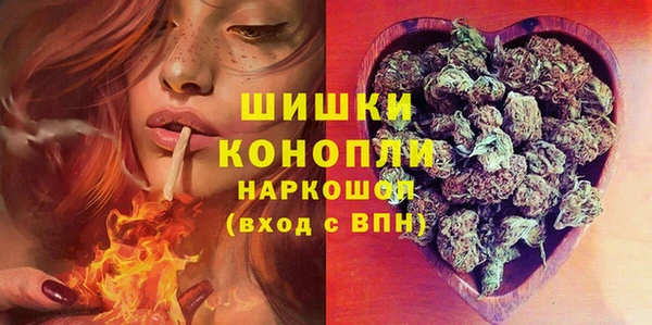 дживик Корсаков