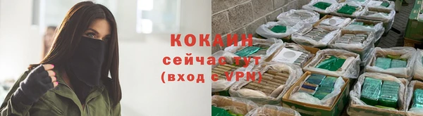 дживик Корсаков