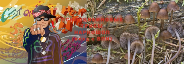 хмурый Коряжма