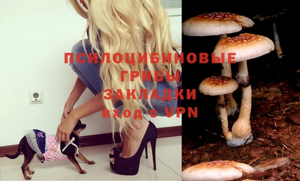 хмурый Коряжма