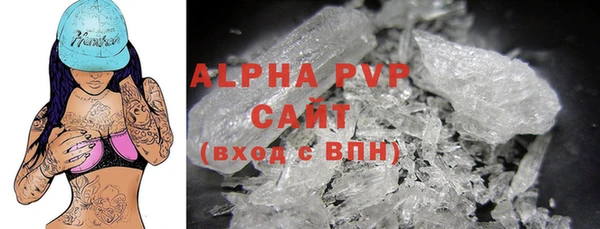 дживик Корсаков