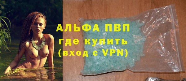 дживик Корсаков