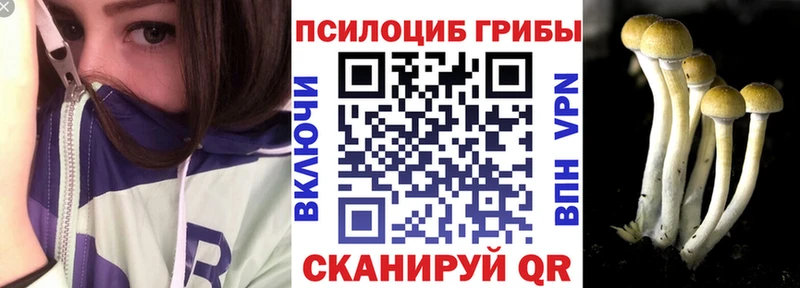 купить   mega ONION  Галлюциногенные грибы ЛСД  Кяхта 